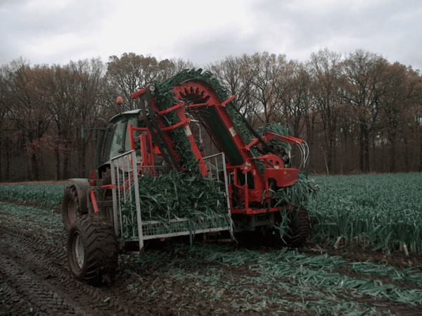 Automatic Leek Harvester
