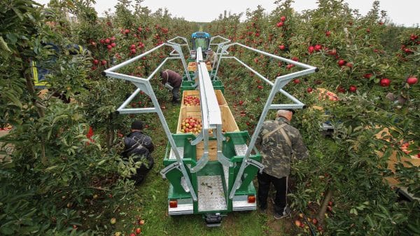 Orchard Harvesting Platform KRT-2/4S