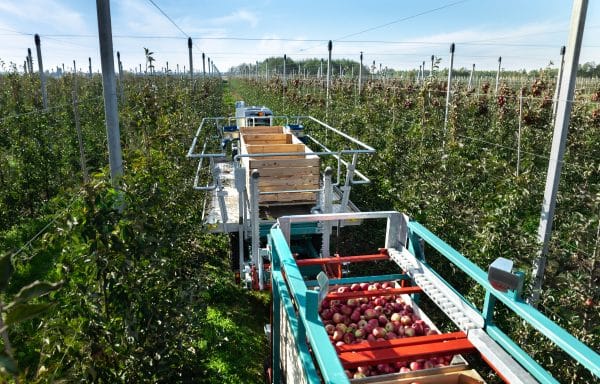 Hydraulic Orchard Platform